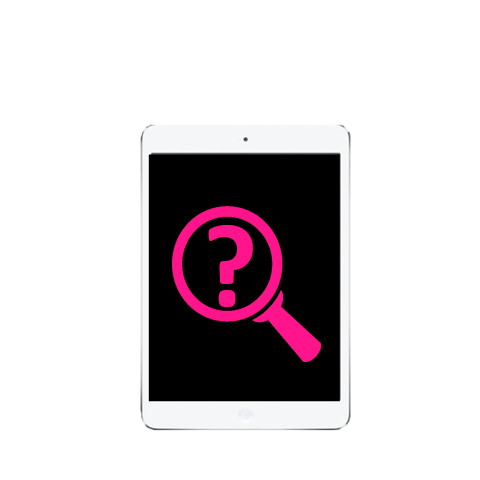 Camera Repair - iPad Mini 2
