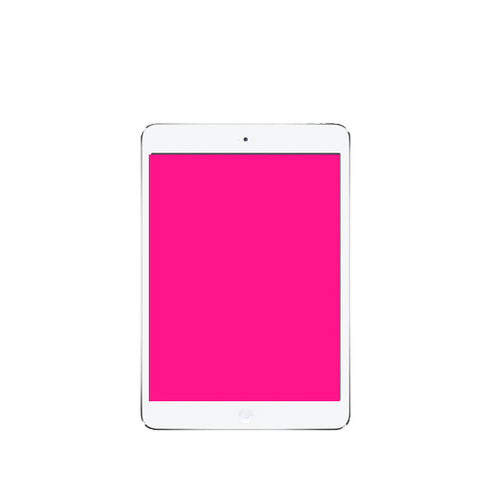 Glass Screen Repair - iPad Mini 2